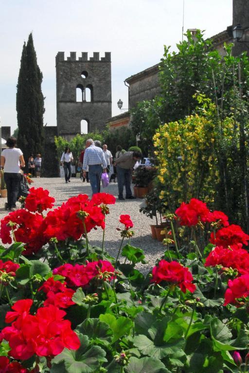 Antica Dimora Dell'Ortolano Apartment Castellaro  Bagian luar foto