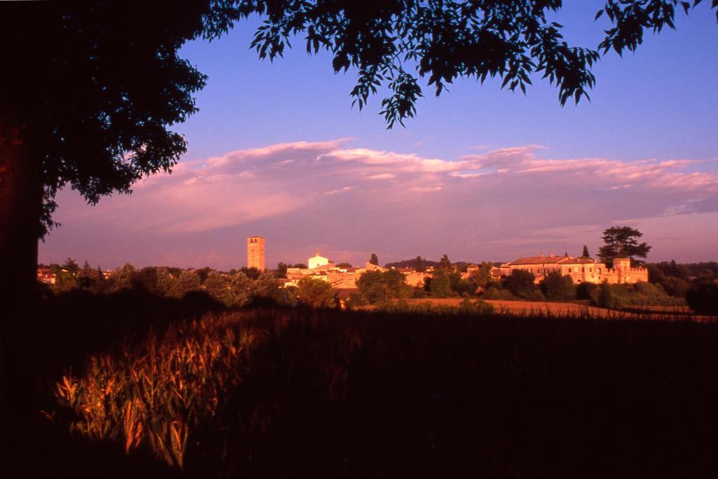 Antica Dimora Dell'Ortolano Apartment Castellaro  Bagian luar foto